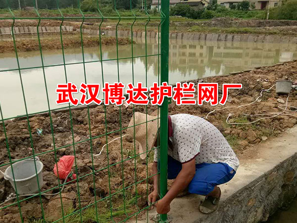 江西井岡市池塘安全矮式隔離欄安裝現場